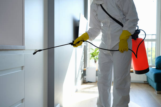 Best Office Mold Removal Services  in Claremont, CA