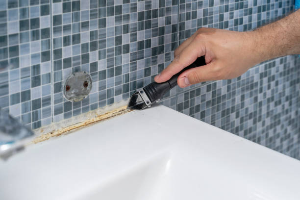Best Fast Mold Removal  in Claremont, CA